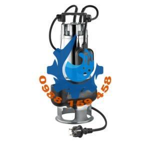 Máy bơm chìm Pentax DBT100