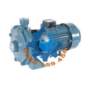Máy bơm ly tâm trục ngang Conforto STD