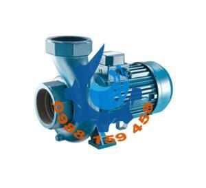 Máy bơm Pentax CST100/2