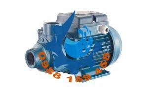 Máy bơm nước Pentax PM45