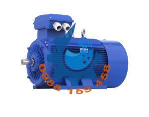 Động cơ điện Guanglu