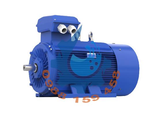 Động cơ điện Guanglu Động cơ điện Guanglu