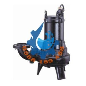 Máy bơm chìm nước thải NTP SF