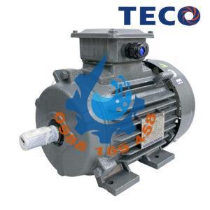 động cơ điện Teco